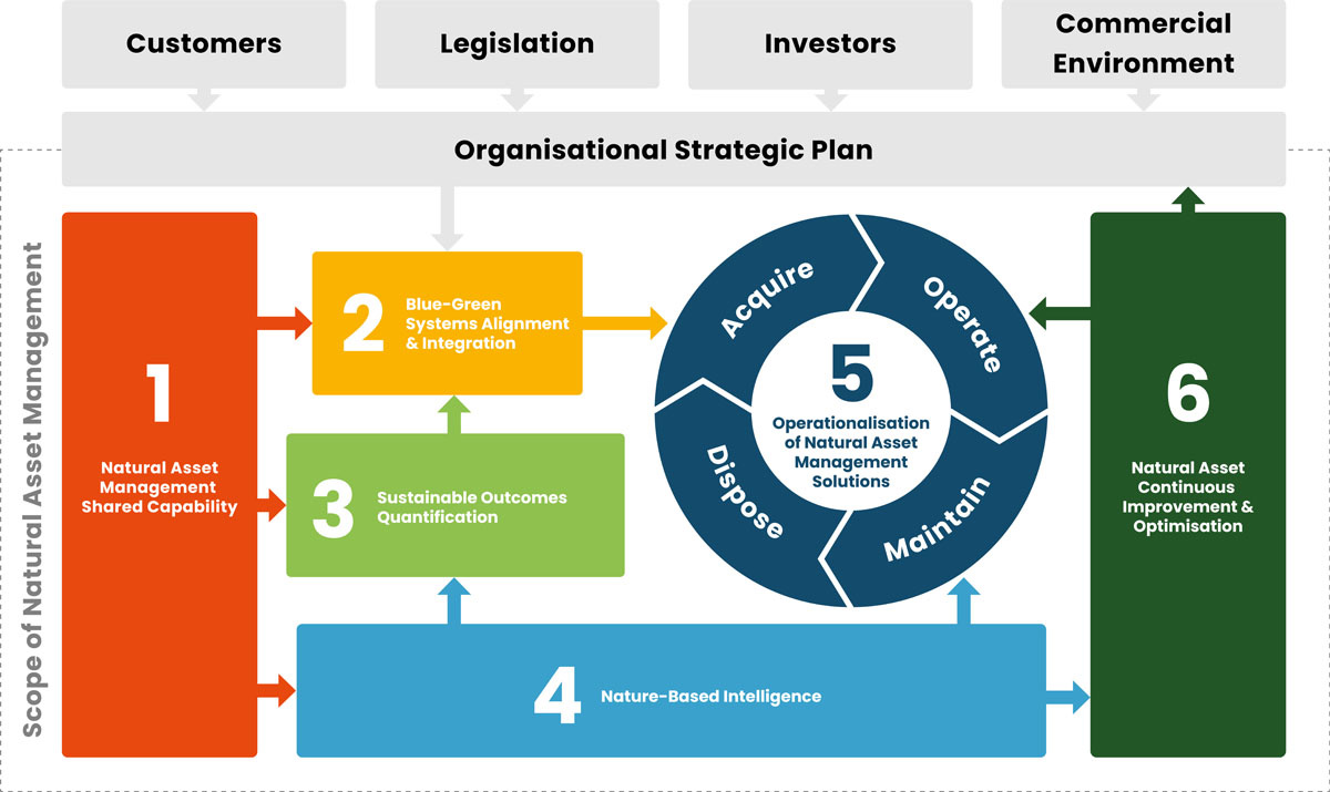 Adapting Asset Management Systems for Nature-First Thinking To Maximise ...